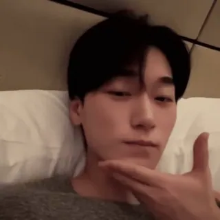 🪵 505f3f39 whatsapp sticker