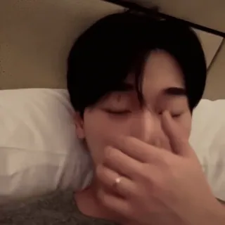 🪵 515f72a3 whatsapp sticker