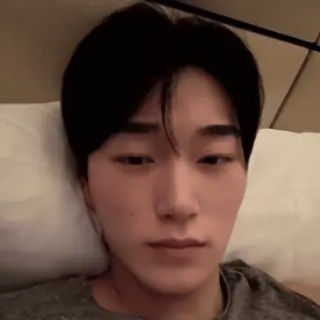 🪵 53ff6d5e whatsapp sticker