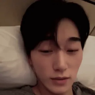 🪵 5aa328fb whatsapp sticker