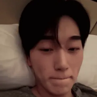 🪵 7386437b whatsapp sticker