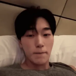 🪵 82d7c21a whatsapp sticker