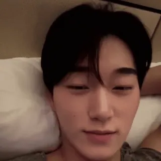 🪵 8f3daffb whatsapp sticker