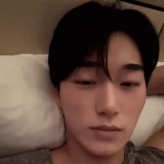 🪵 9ac8bcd8 whatsapp sticker