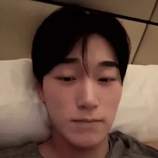 🪵 a41fdcc2 whatsapp sticker