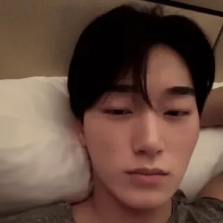 🪵 a461b00e whatsapp sticker