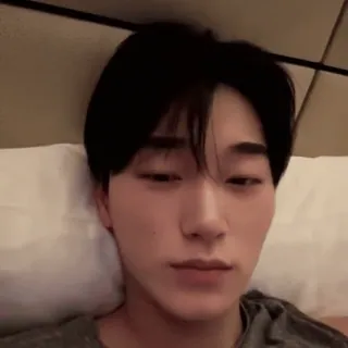 🪵 bafbae7f whatsapp sticker