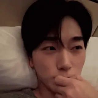 🪵 be745b6a whatsapp sticker