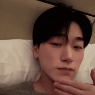 🪵 c34b8efc whatsapp sticker