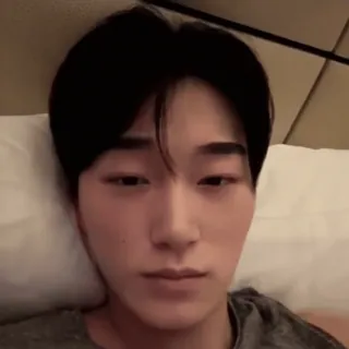 🪵 cc4a7feb whatsapp sticker