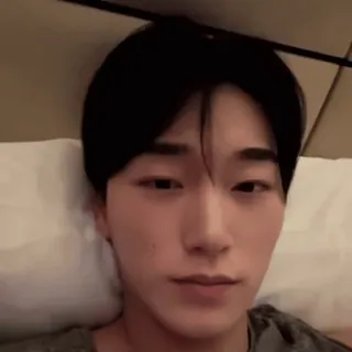 🪵 cc55a47c whatsapp sticker