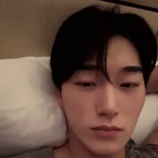 🪵 d0c33faa whatsapp sticker