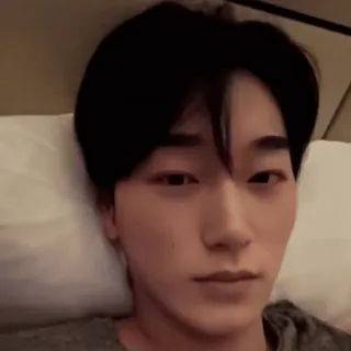 🪵 d91e65d2 whatsapp sticker