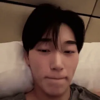 🪵 dceecc7e whatsapp sticker