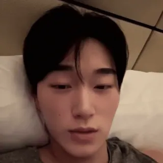 🪵 ed5d549b whatsapp sticker