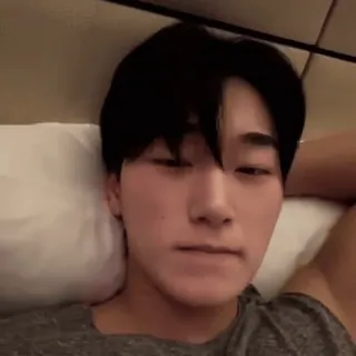 🪵 fdd1ad96 whatsapp sticker