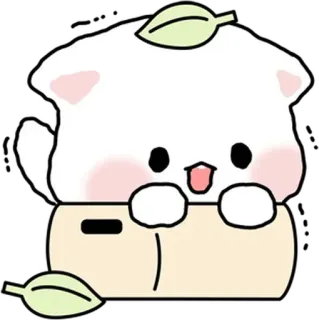 🐈 e8bda7c8 猫, 可爱, 贴纸, 动物, 卡哇伊 telegram sticker