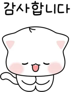 🐈 ea32101a 감사합니다 谢谢, 猫, 可爱, 卡哇伊, 感谢, 问候 telegram sticker