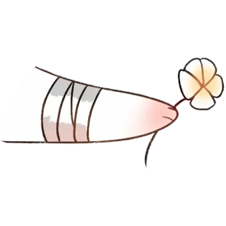 😘 e7f8eba9 dito del piede, fiore, cerotto telegram sticker
