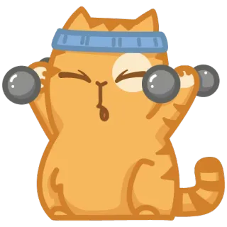 💪 94bebea2 kucing, olahraga, kebugaran, angkat beban, kartun, imut, dumbel, olahraga telegram sticker