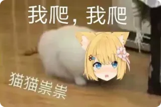 🙈 373d2612 我爬,我爬 猫猫祟祟 chat, animé, drôle, mème whatsapp sticker