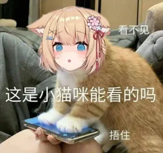 😮 86a2a123 看不见
这是小猫咪能看的吗
捂住 chat, animé, texte, collage, drôle, mème whatsapp sticker