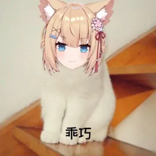 😉 9613128e 乖巧 Anime, Chat, Mignon, Animal, Meme, Drôle, Kawaii whatsapp sticker