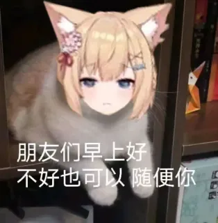 🥺 fa3a3026 朋友们早上好
不好也可以随便你 chat, animé, mème, salutation, matin whatsapp sticker