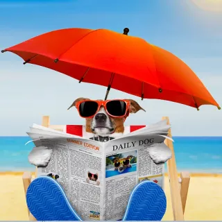 🌂 9732eb7a DAILY DOG Hund, Zeitung, lesen, Strand, entspannen, Sommer, Sonnenbrille, Regenschirm telegram sticker