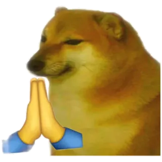 ๐ 2c8e43c2 Doge meme, dog, cheems, praying, begging telegram sticker
