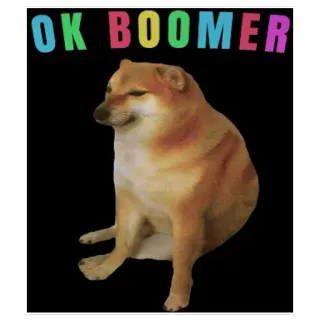 ๐ 573b3024 OK BOOMER dog, meme, ok boomer, internet slang, cheems telegram sticker