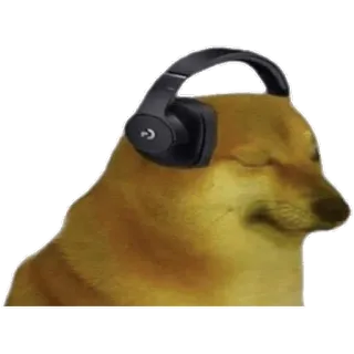๐ง 731d28ca Doge dog, meme, internet, cheems, listening, headphones telegram sticker