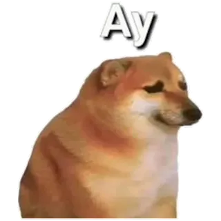 ๐ 7edd5b75 Doge Ay dog, cheems, meme, animal telegram sticker
