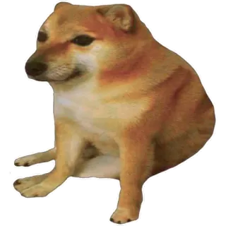 ๐ถ c6dcdebe Cheems dog, meme, animal, cheems, funny, internet telegram sticker