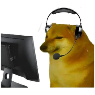 ๐ป c8c9d941 doge, dog, gamer, computer, meme, cheems telegram sticker
