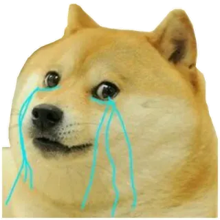 ๐ญ dcdc3a57 Doge dog, meme, sad, crying, tears telegram sticker
