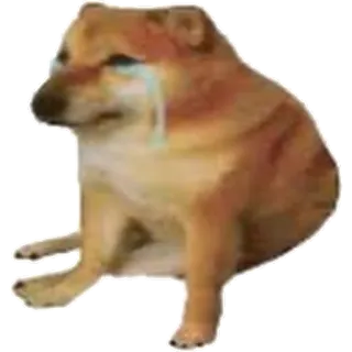 ๐ญ f0a51089 Cheems dog, meme, sad, crying telegram sticker