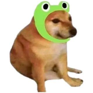๐ธ f0f0cd73 Doge dog, cheems, frog, animal, meme telegram sticker
