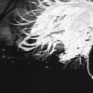 🤬 f7060112 telegram sticker