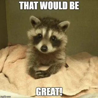 🤔 1d9c7514 THAT WOULD BE
GREAT! แรคคูน, มีม, ตลก, มีมอินเทอร์เน็ต, สัตว์, น่ารัก telegram sticker