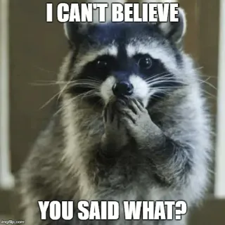 ❤ 3f64be11 I CAN'T BELIEVE YOU SAID WHAT? แรคคูน, มีม, ตลก, เซอร์ไพรส์, ตกใจ telegram sticker
