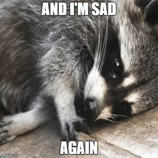 😔 48c5c890 AND I'M SAD
AGAIN แรคคูน, เศร้า, มีม, สัตว์, ร้องไห้ telegram sticker