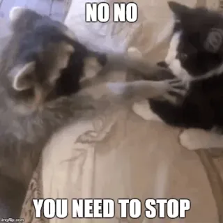 😶 babc996b NO NO
YOU NEED TO STOP แรคคูน, แมว, สัตว์, หยุด, ตลก telegram sticker