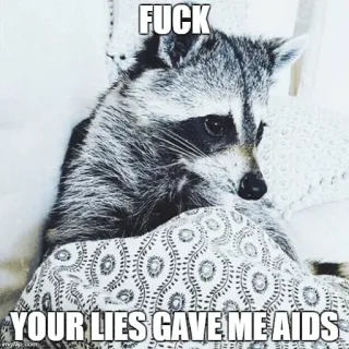 🤕 f7f7a197 FUCK
YOUR LIES GAVE ME AIDS แรคคูน, ก้าวร้าว, ตลก, สัตว์, มีม telegram sticker
