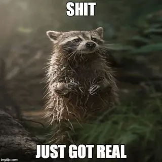 😶 f94975ee SHIT
JUST GOT REAL แรคคูน, มีม, หยาบคาย, สัตว์ telegram sticker