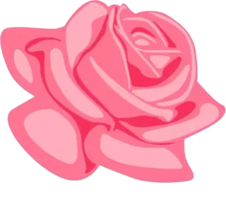 🌸 99497b3f 玫瑰, 花, 粉色, 花卉, 自然, 浪漫, 绽放, 花瓣 telegram sticker