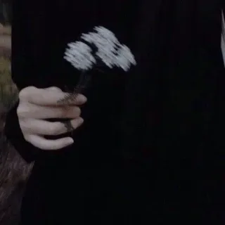 🌟 2fc91e47 손, 꽃, 검은색, 의류, 자연 telegram sticker