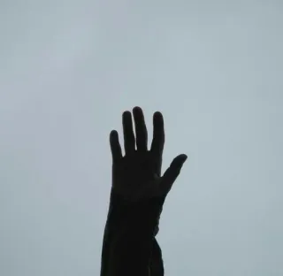 🌟 d21de676 손, 제스처, 실루엣, 팔 telegram sticker