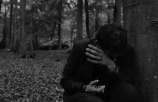 🌟 db1203e8 telegram sticker