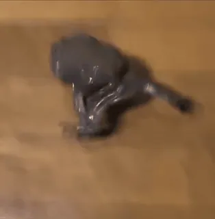 🏃‍♀ 305feece telegram sticker